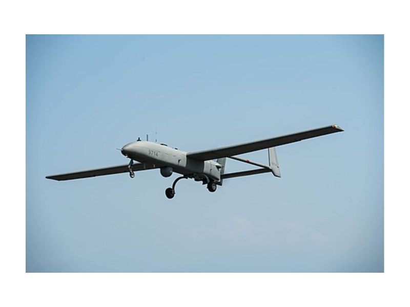 圖片來源:維基百科